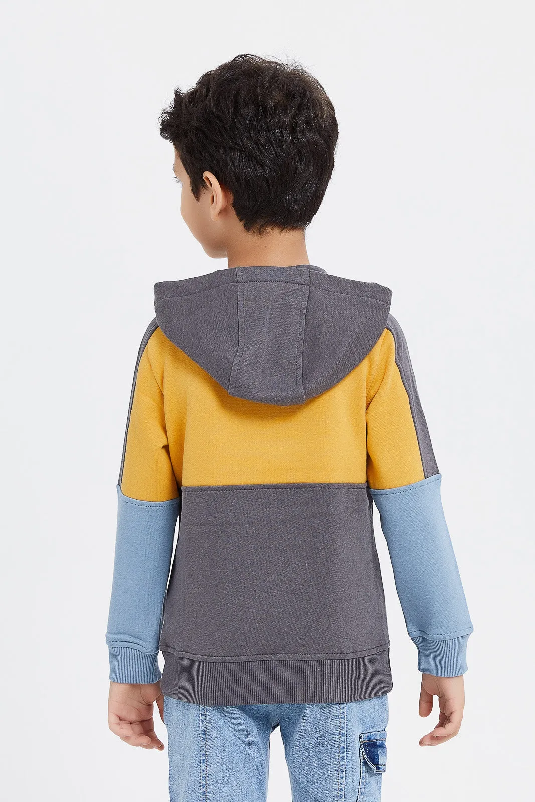 Boys Multicolour Paneled Flap Pocket Hooded Sweat