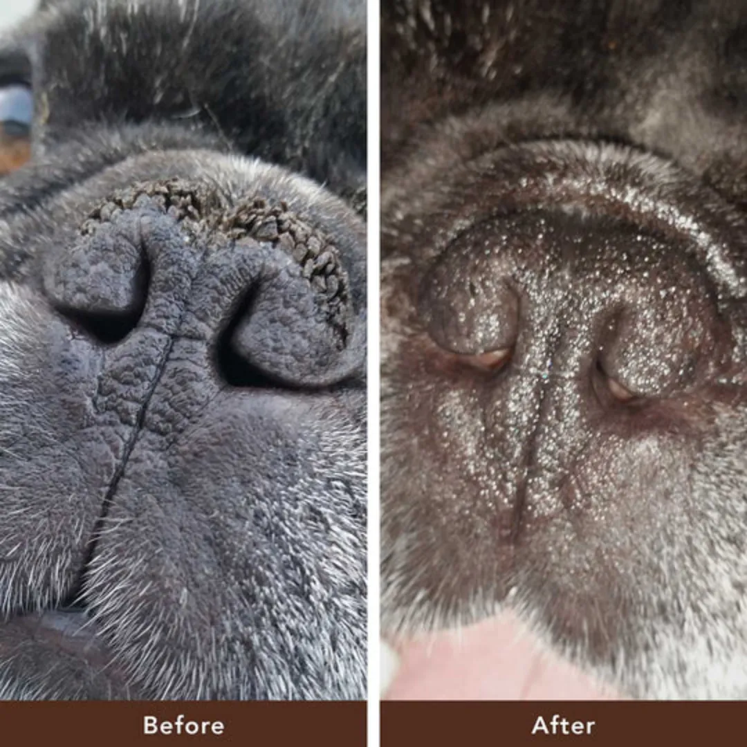 Natural Dog Company Snout Soother