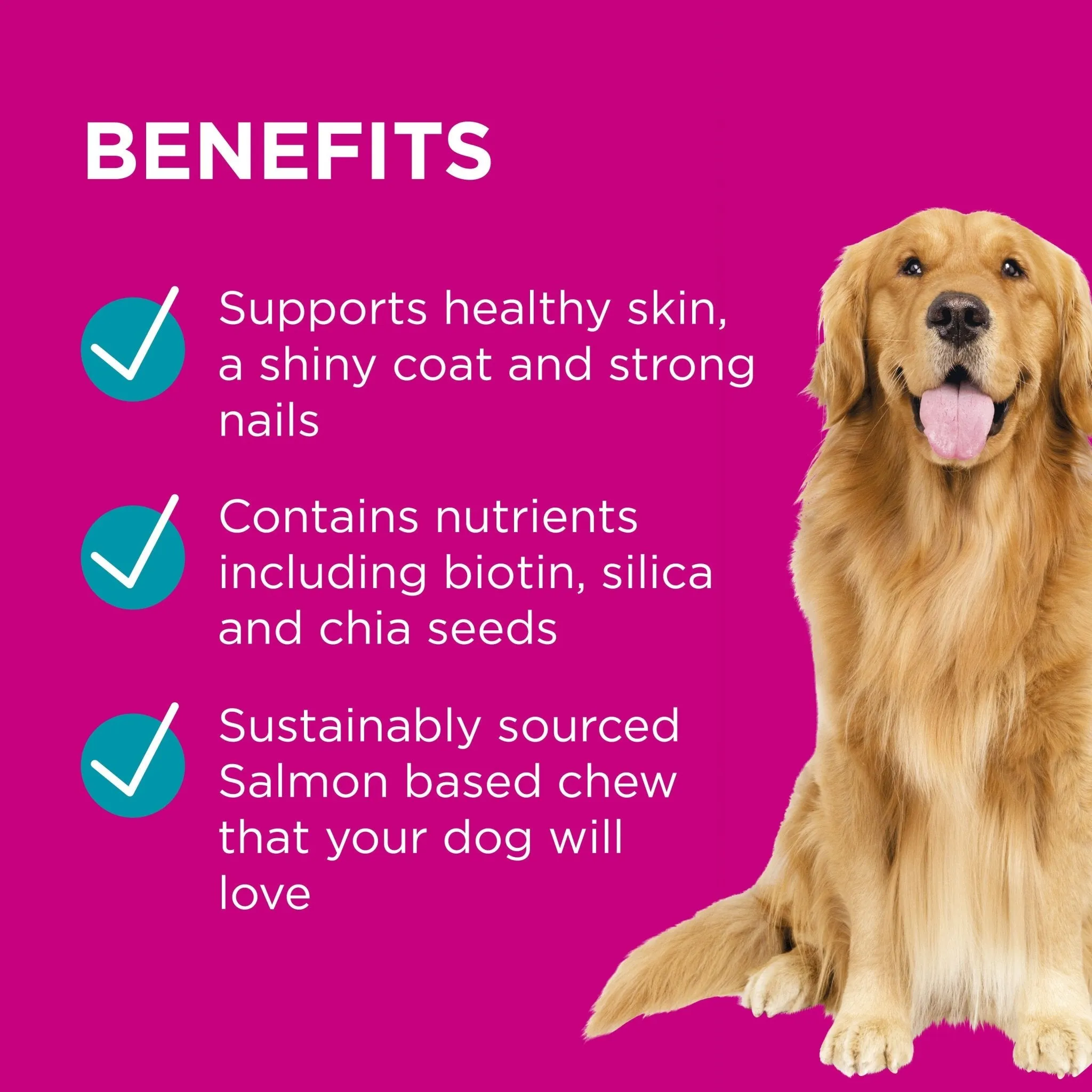 PAW Coat, Skin & Nails Multivitamin Chews 300g