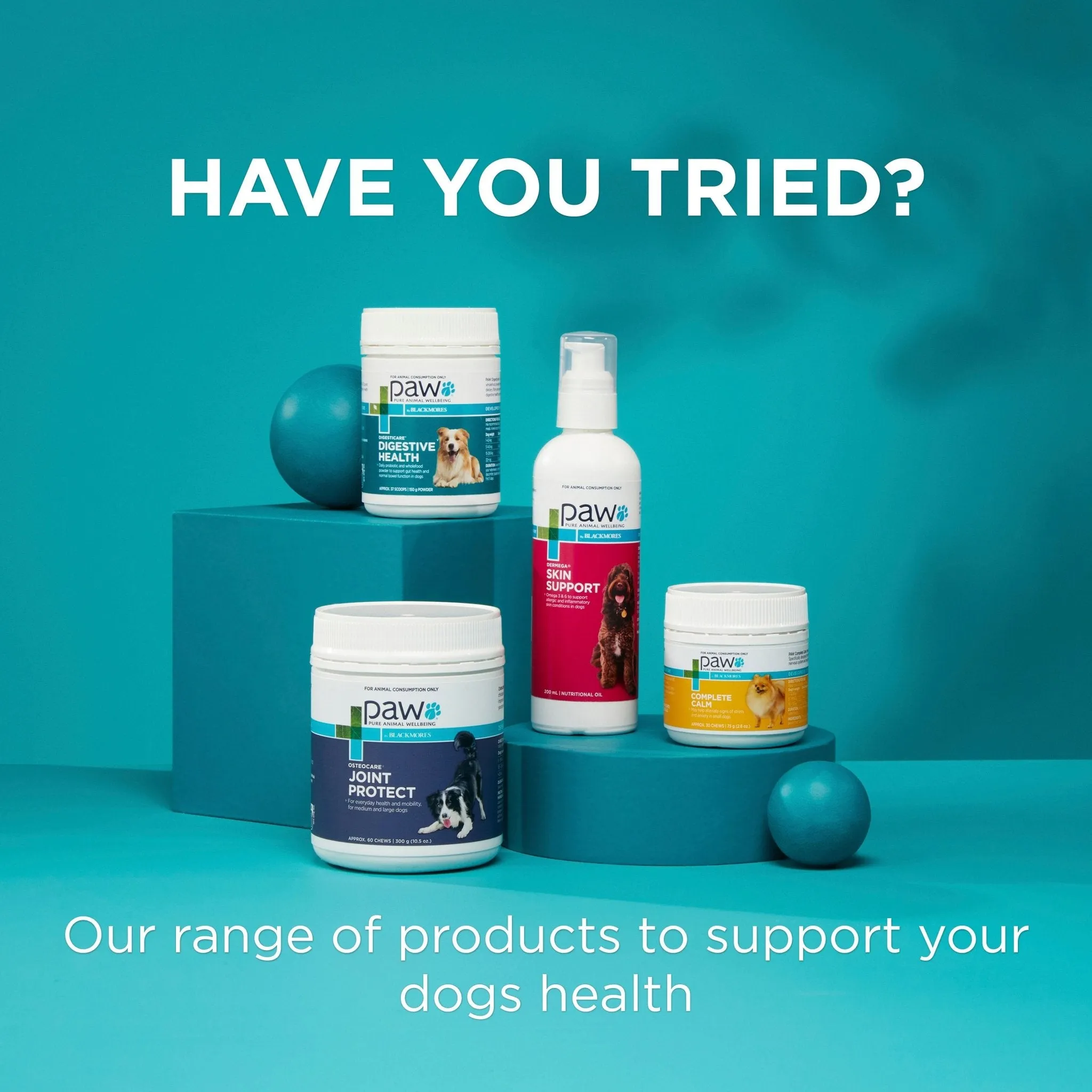PAW Coat, Skin & Nails Multivitamin Chews 300g