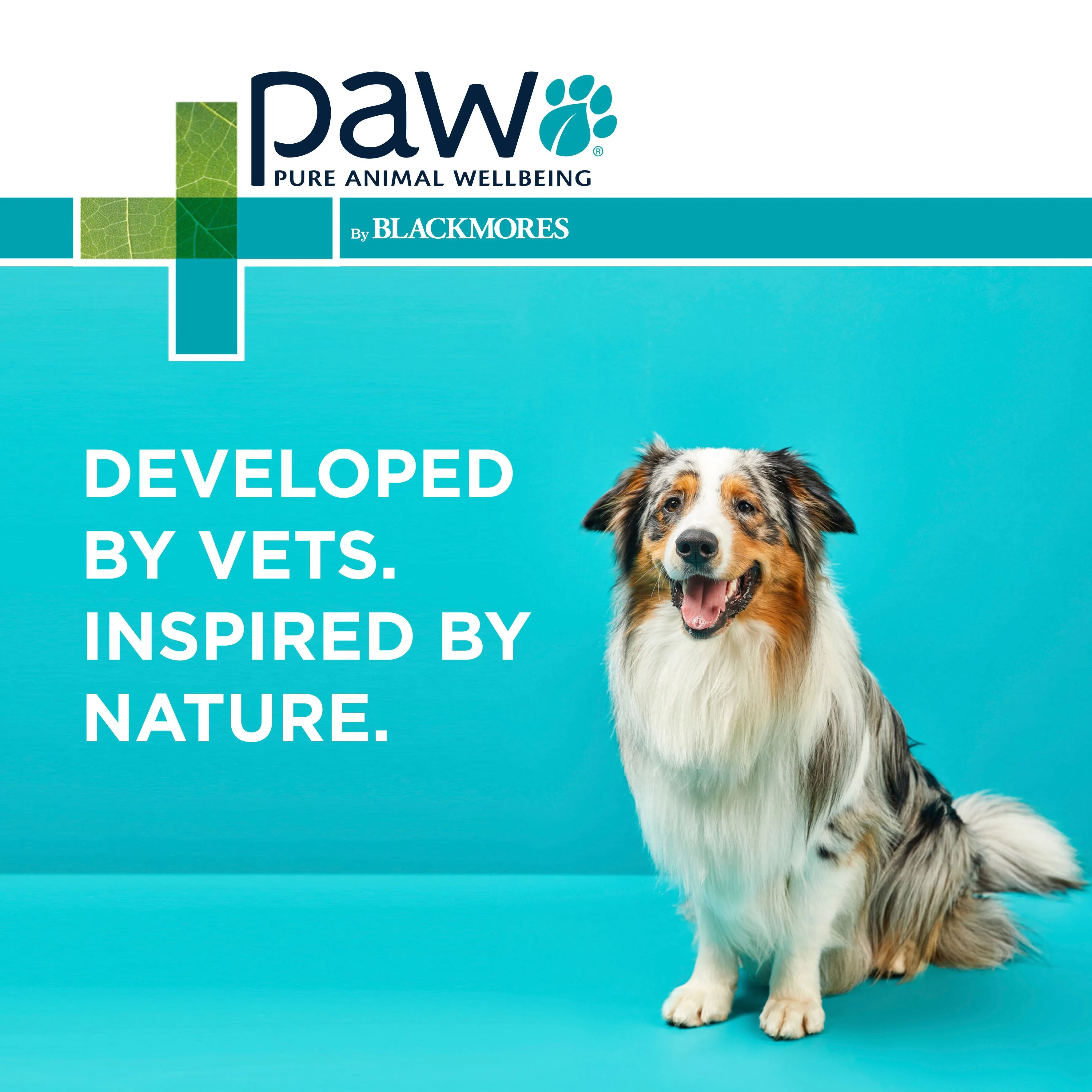PAW Coat, Skin & Nails Multivitamin Chews 300g