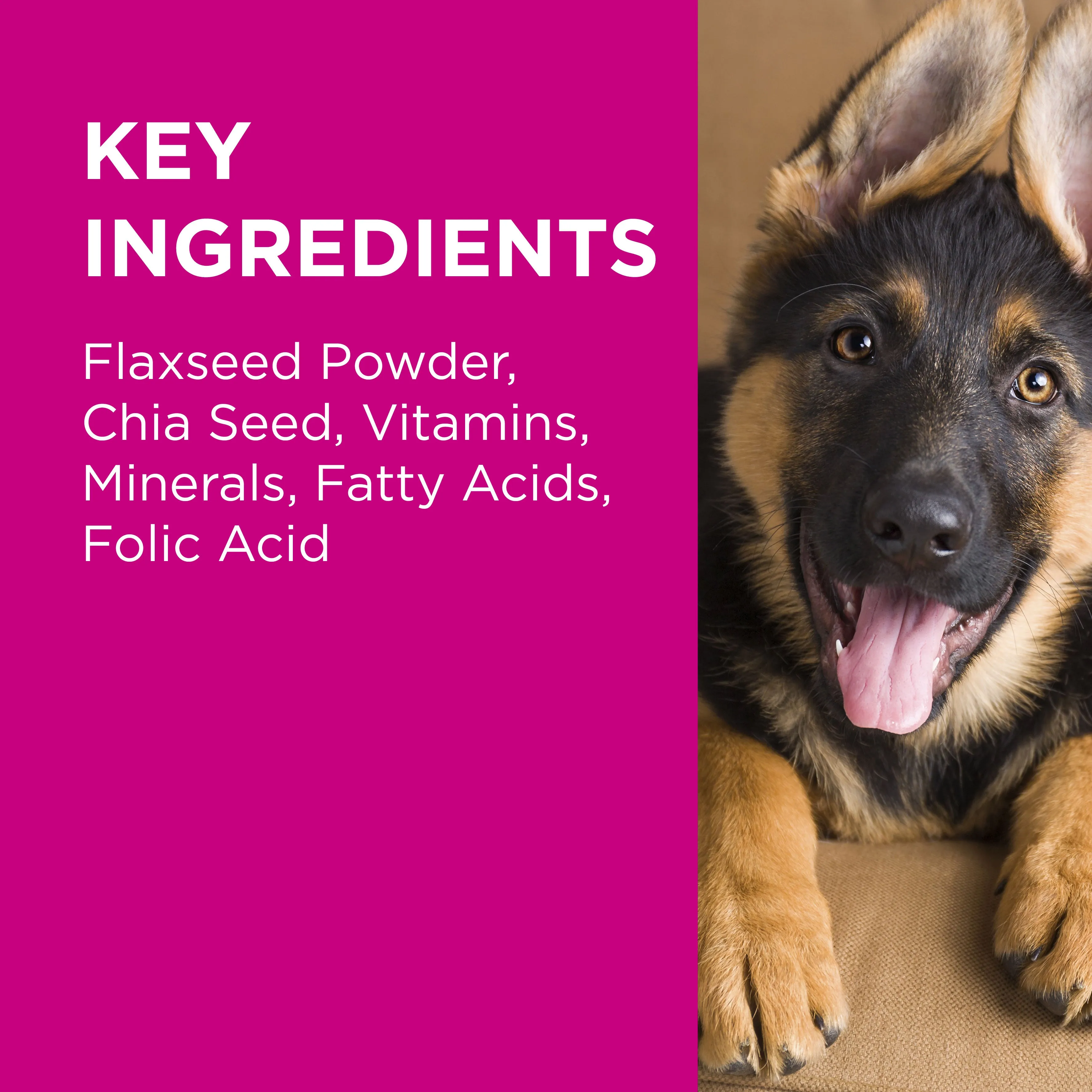 PAW Coat, Skin & Nails Multivitamin Chews 300g