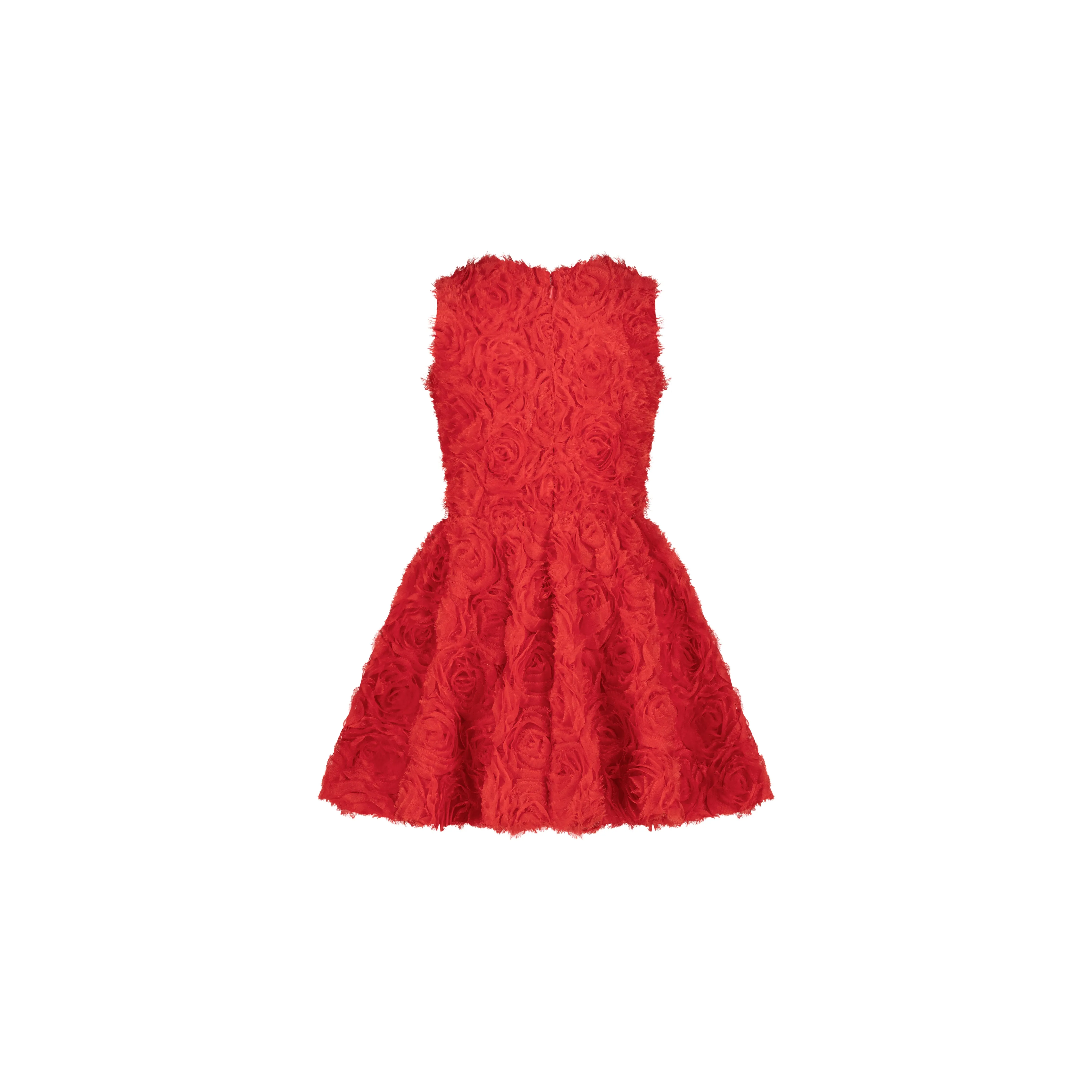 Regal Girl's Dress