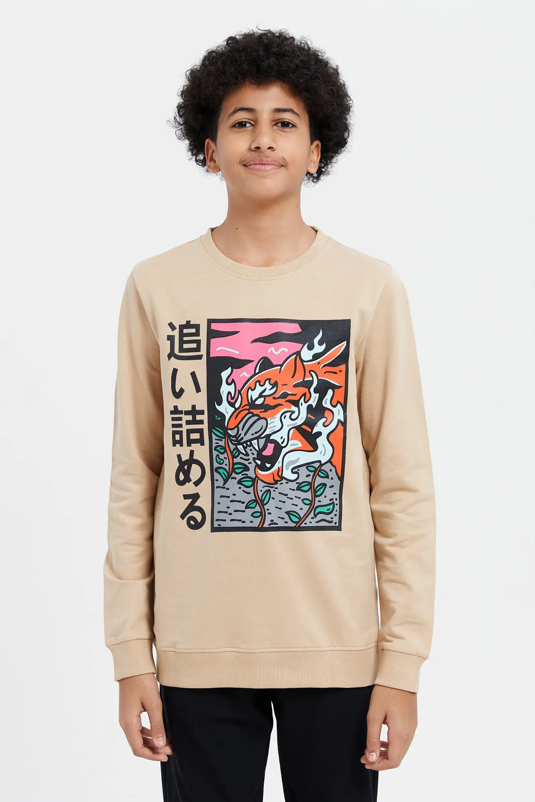 Senior Boys Beige Printed Sweatshirt
