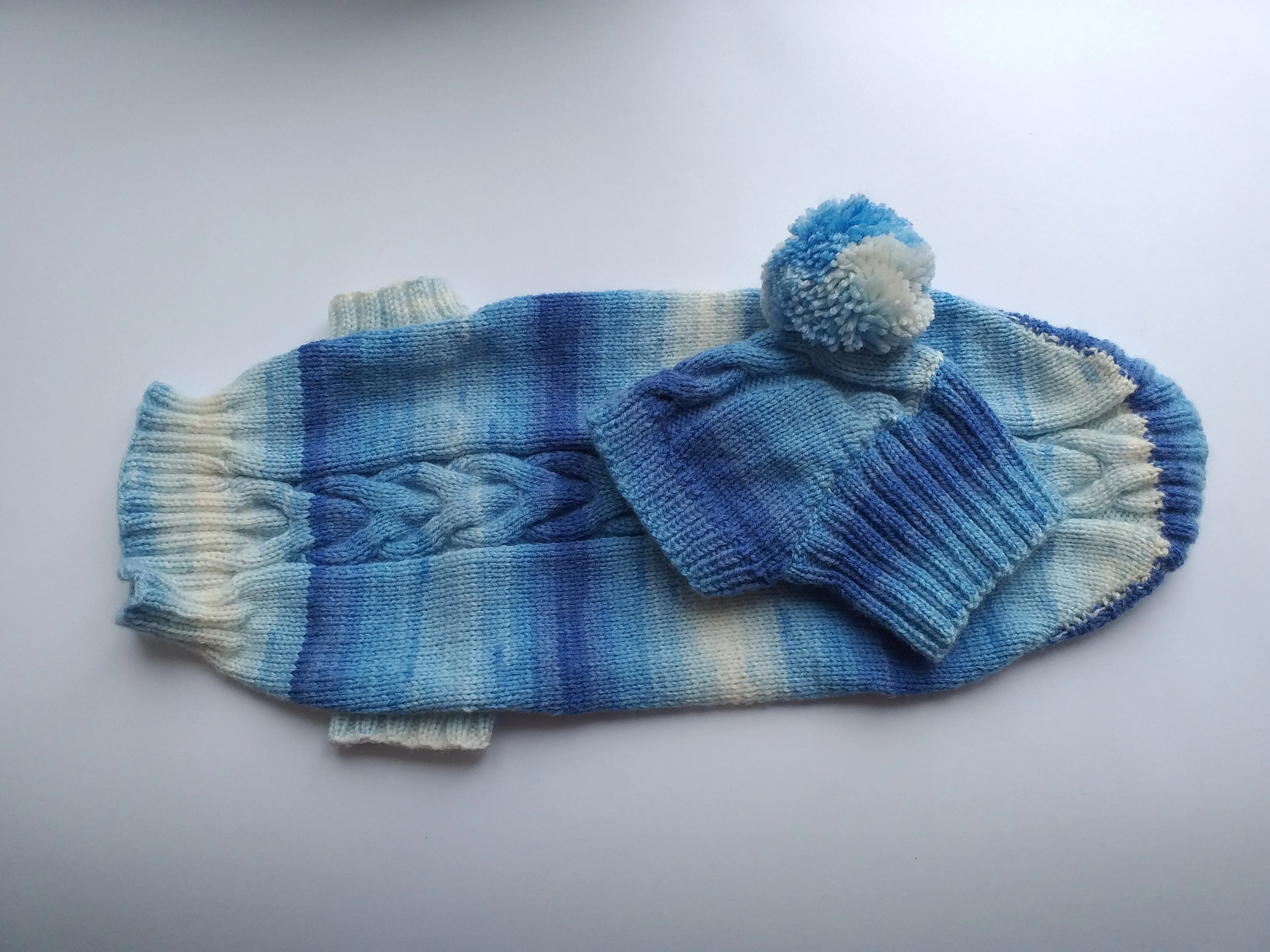 Winter set sweater and hat for dogs dachshund