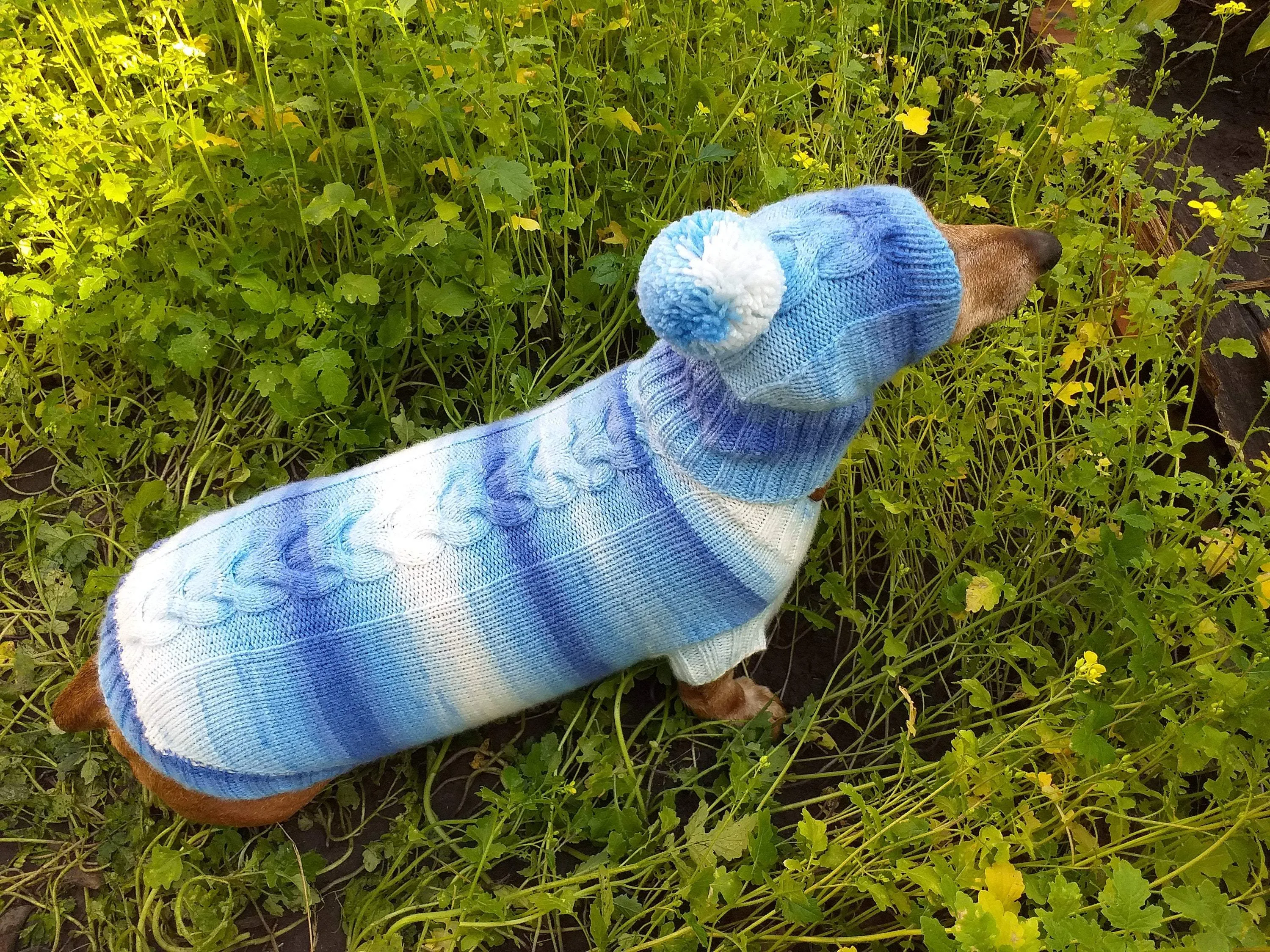 Winter set sweater and hat for dogs dachshund