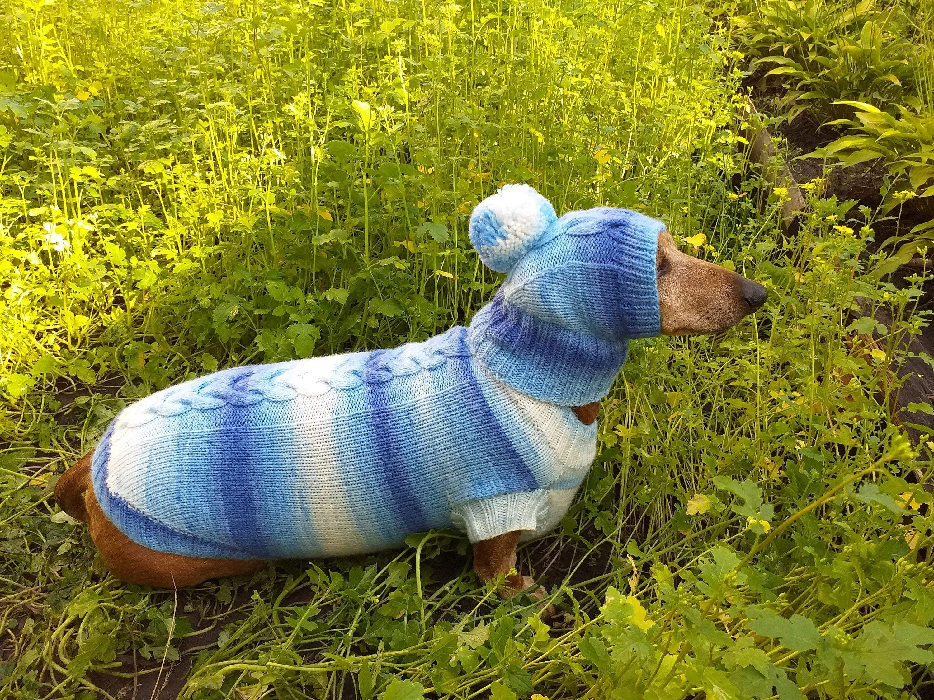Winter set sweater and hat for dogs dachshund