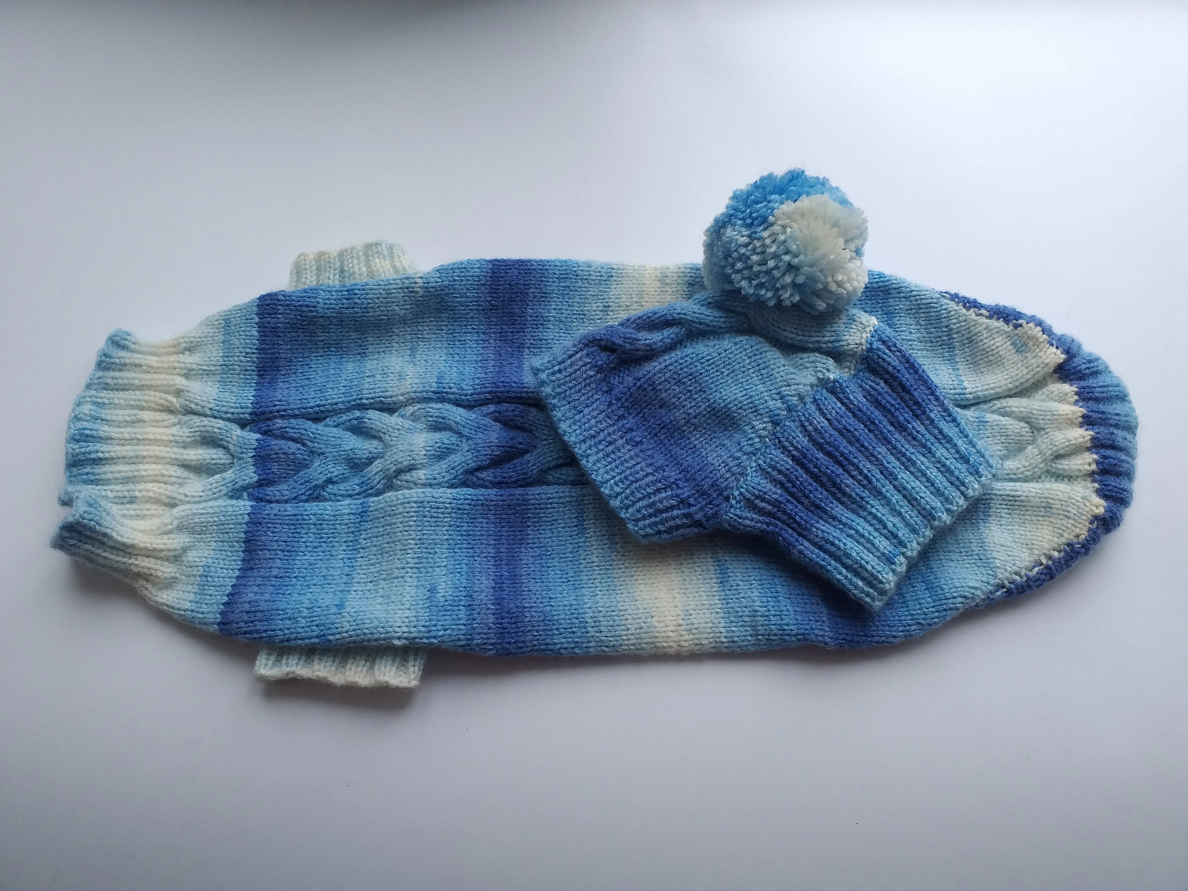 Winter set sweater and hat for dogs dachshund